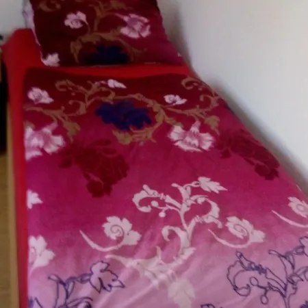 Monteurhotel Garni Alter Olper Hof Hotel 2*