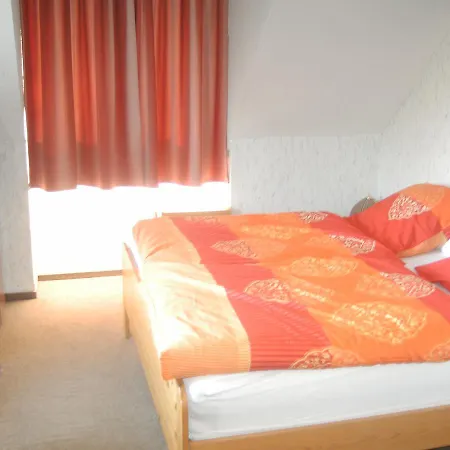 Hotel Monteurhotel Garni Alter Olper Hof 2*