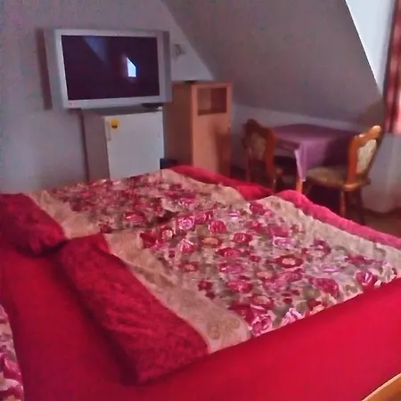 Hotel Monteurhotel Garni Alter Olper Hof 2*
