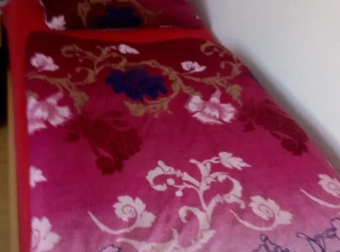 Monteurhotel Garni Alter Olper Hof 酒店 2*