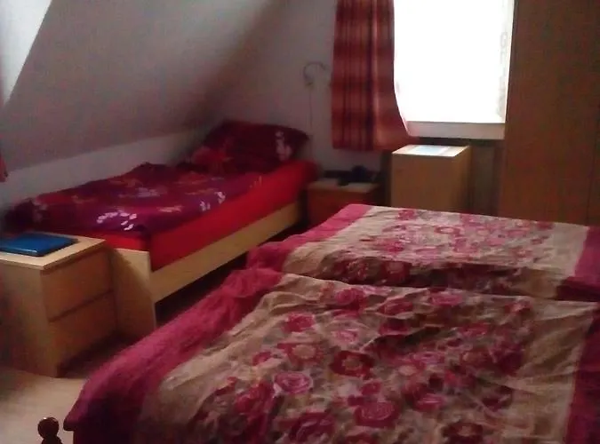 Monteurhotel Garni Alter Olper Hof 2*