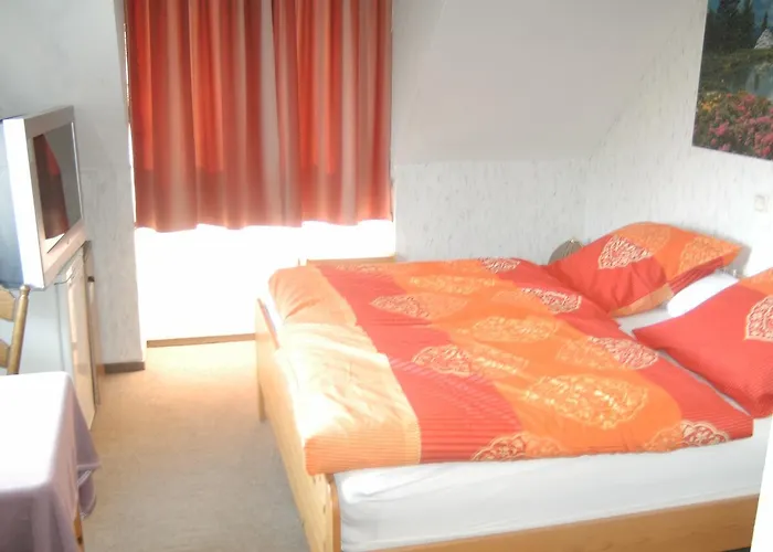 酒店 Monteurhotel Garni Alter Olper Hof 2*