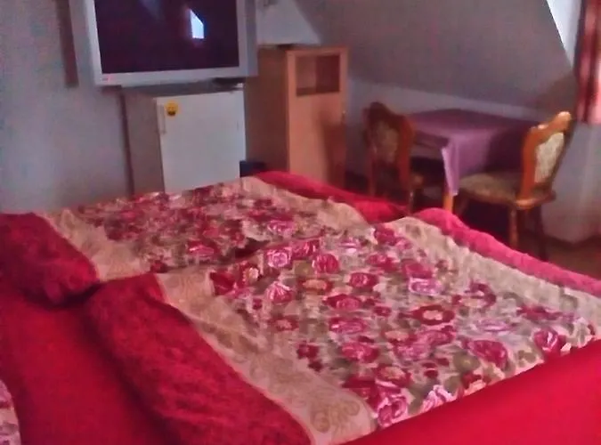 호텔 Monteurhotel Garni Alter Olper Hof 2*