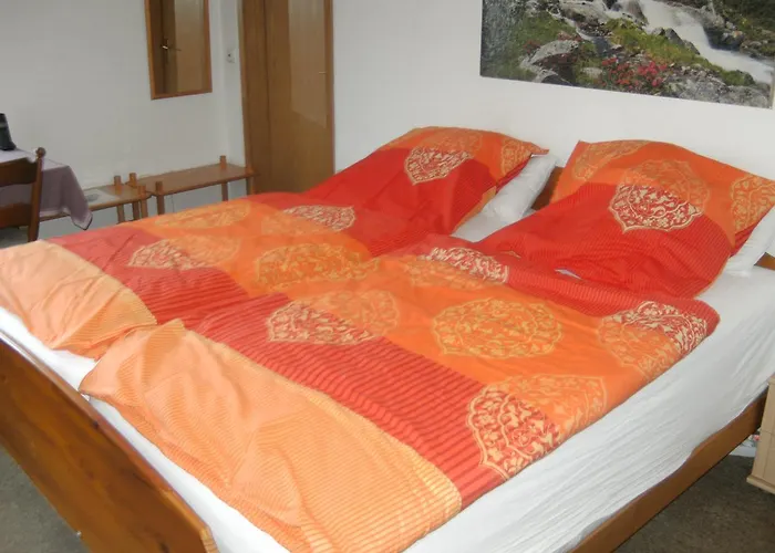 Monteurhotel Garni Alter Olper Hof 2* 린들라