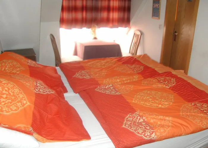 Monteurhotel Garni Alter Olper Hof 2*